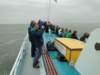 HWK Texel 225_small.jpg